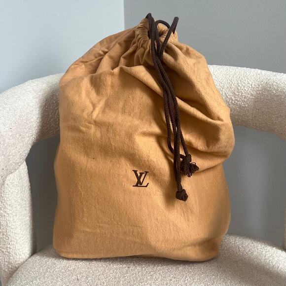 Louis Vuitton Petit Noe Epi Bucket Bag with Dustbag - Picture 2 of 14